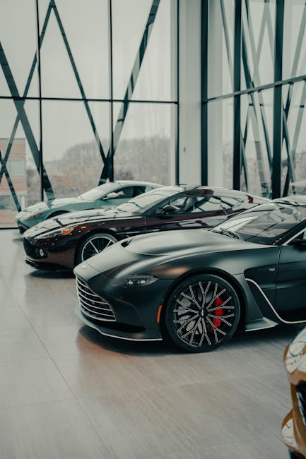 Báo giá Thi Công Trần Thạch Cao Showroom Uy Tín Châu Đức Mới Nhất – Thạch Cao Vũng Tàu